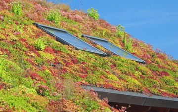 Sleetbeck living roof systems