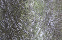 Sleetbeck fibreglass roof work